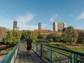 red-gum-park-bridge