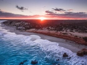 Redbanks at Sunset