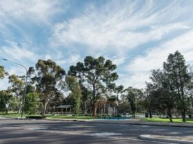 reservoir-park-kangatilla-exercise-equipments