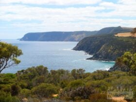 Return Road Hike