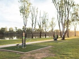The two exercise stations at the Loxton Apex Park.