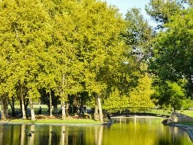 park lands playground