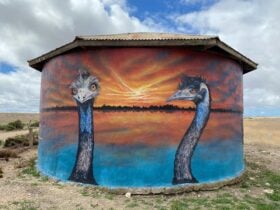 Two emus stand before a vivid sunrise, symbolising First Nations presence and memory.