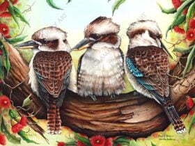 Kookaburra Painting