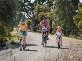 Shamus Liptrot Cycling Trail extends from Balaklava to Halbury.