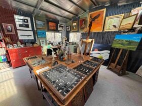 shoal bay studio art