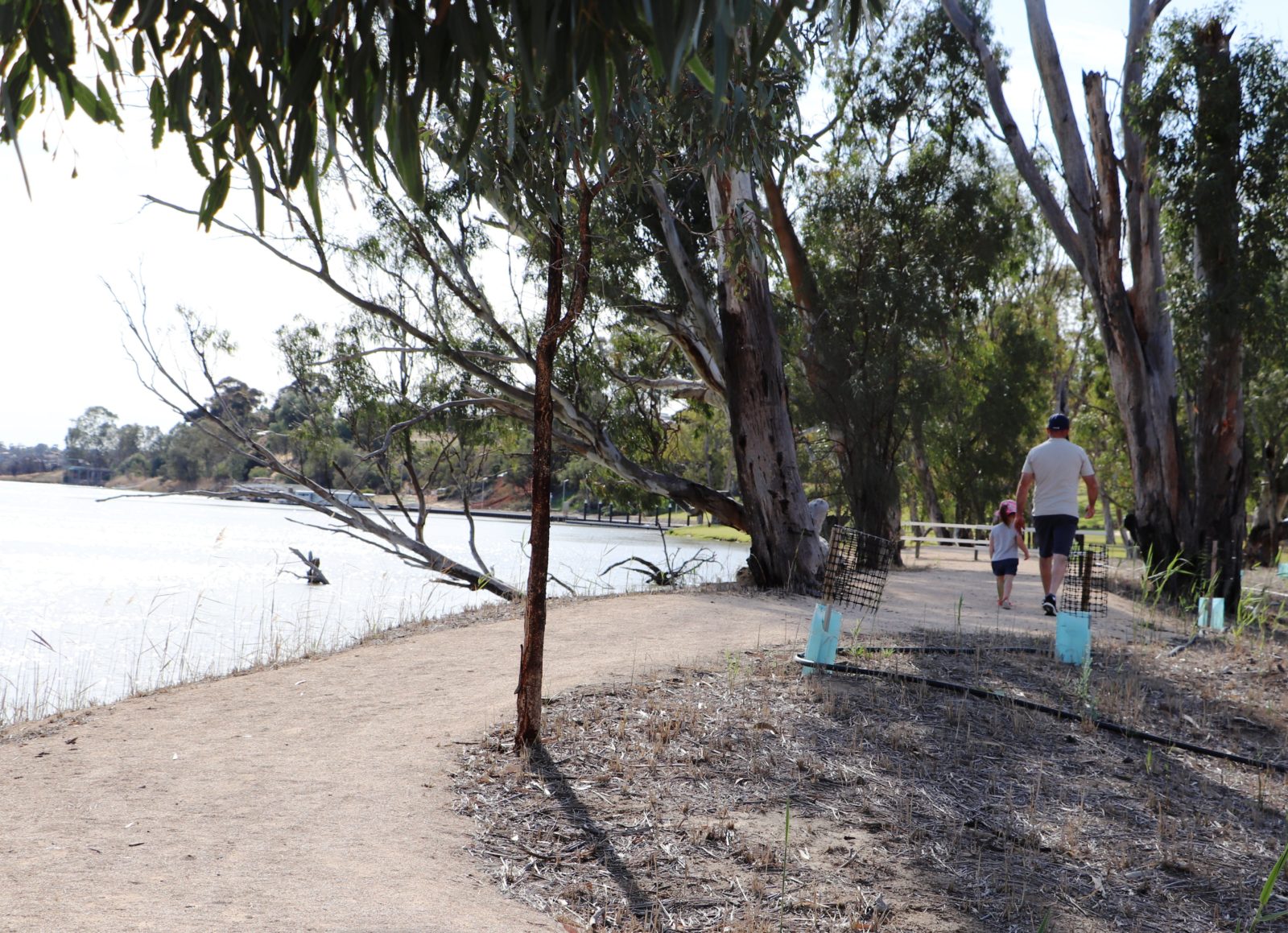 There is a short walking trail on the island.