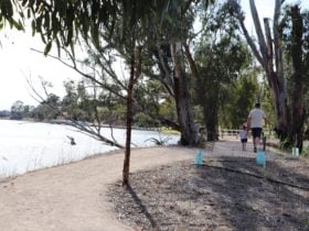 There is a short walking trail on the island.