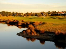 SLGC 12th