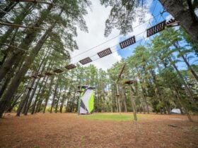 Southern Adventure Hub