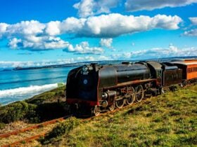 Loco 621 hauling our Cockle Train