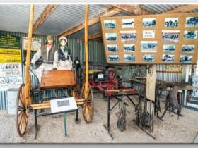 Buggies and horses at work display