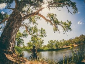 sturt gorge
