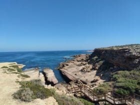 Woolshed from carpark