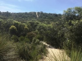 Tauragat Hill Tauragat Well Coonalpyn