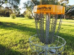 Disc Golf Park Tintinara