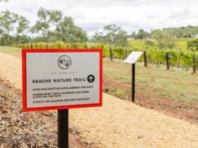 Kraehe Nature Trail Sign