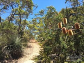Waterfall Creek Hike