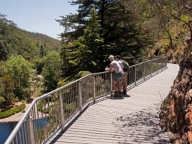 Waterfall Gully
