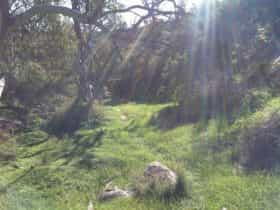 Between Woolshed Flat and Wakarie Falls