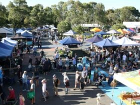 Market birds eye view