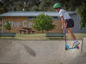 Lions,skate