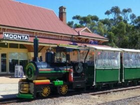 Participants enjoying a ride on the historic steam train