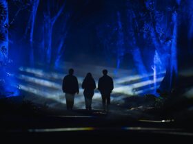 People walking in the Botanic Gardens with illuminated lights
