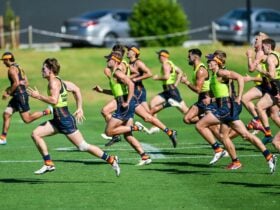 Adelaide Crows Clinic