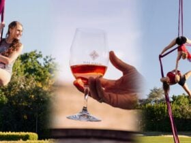 A hand holding a glass of wine with blue sky and aerial acrobats in the background