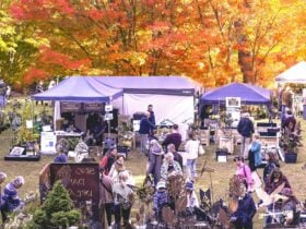 Autumn setting for Adelaide HIlls Garden Affair