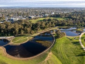 Wetlands