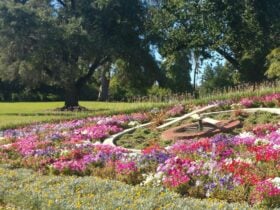 Floral Clock