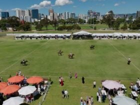 2025 Adelaide Polo Classic- CBD View