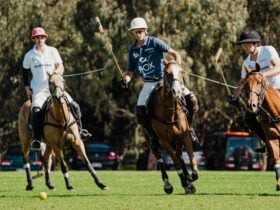 Live Polo in the Adelaide CBD