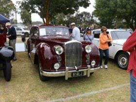 1954 Bentley Mk VI
