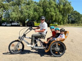 A man riding a TukTuk with 3 children in the seat behind at Hugo Wines