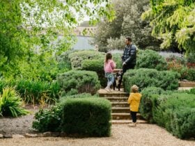 a dad with his children and their dog in the Anlaby Gardens