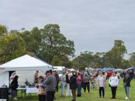 Barmera Markets