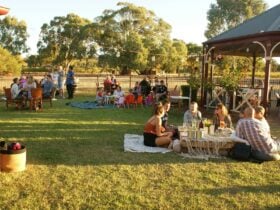 Kies Family Wines School Holidays Barossa