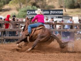 Barrel Racing