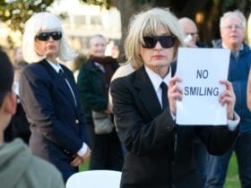 Born in a Taxi, Please Wait Here performance