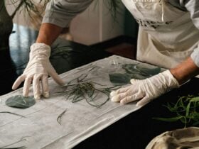 Natural Dyeing with Igora Opala