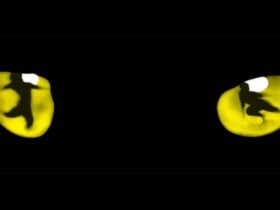 black with yellow eyes with the pupils in shape of dancers