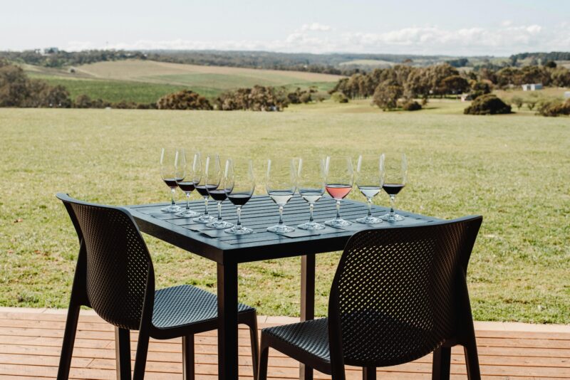 Wine tasting overlooking the vineyards at Chalk Hill Wines in McLaren Vale.