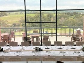 Long table with festive setting overlooking view of Barossa Valley Ranges