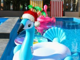 Inflatable swan in pool wearing a Christmas hat