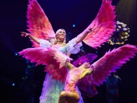 Alice with flocking flamingos (Cirque Alice)