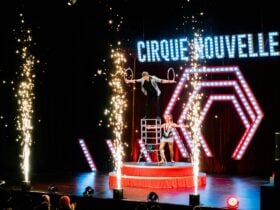 Cirgue Noivelle performance