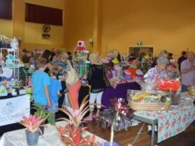 Clare Christmas Arts & Craft Fair